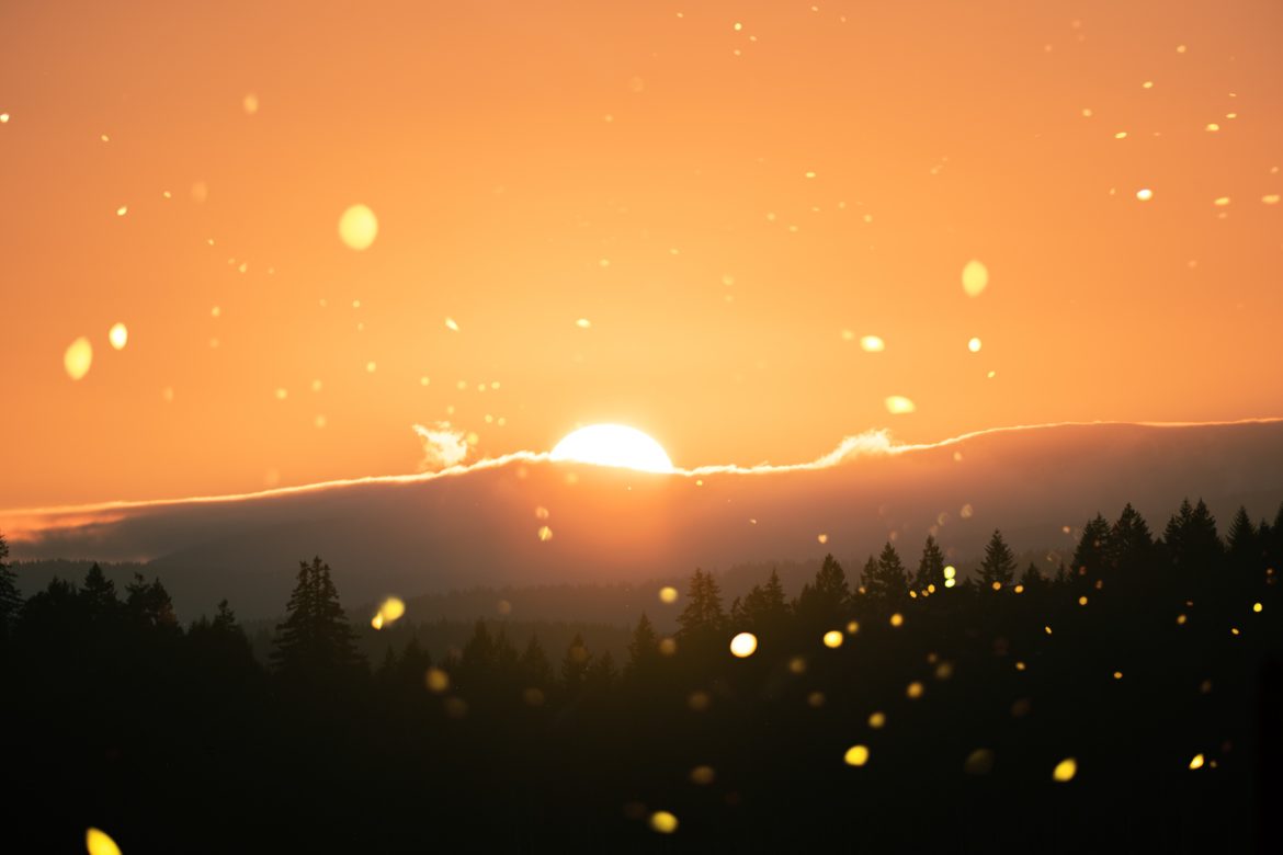cristofer-jeschke-5NyN-wyH3qE-unsplash entités passeur d'âmes